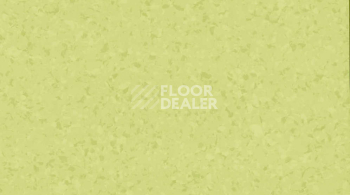 Линолеум Gerflor Mipolam Symbioz 6027 ACCACIA фото 1 | FLOORDEALER